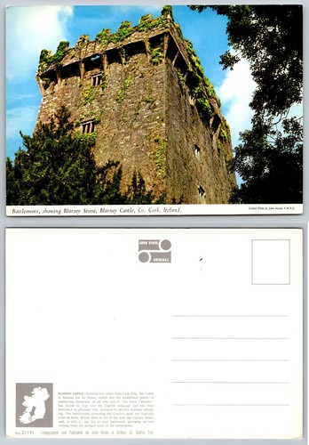 Cartolina castello blarney - cartolina, di